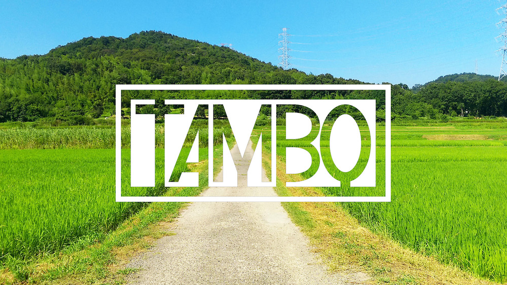 TAMBO